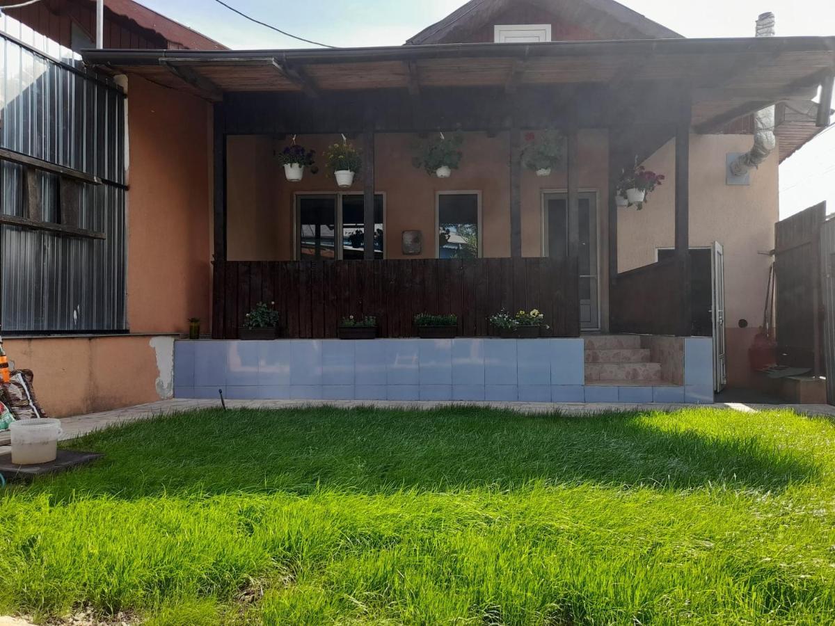 Central City House Tulcea Bagian luar foto