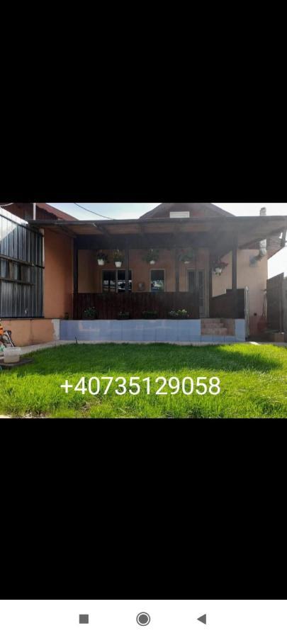Central City House Tulcea Bagian luar foto